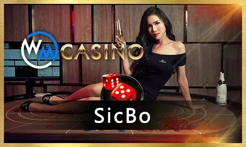 Online Slots and Jili Games